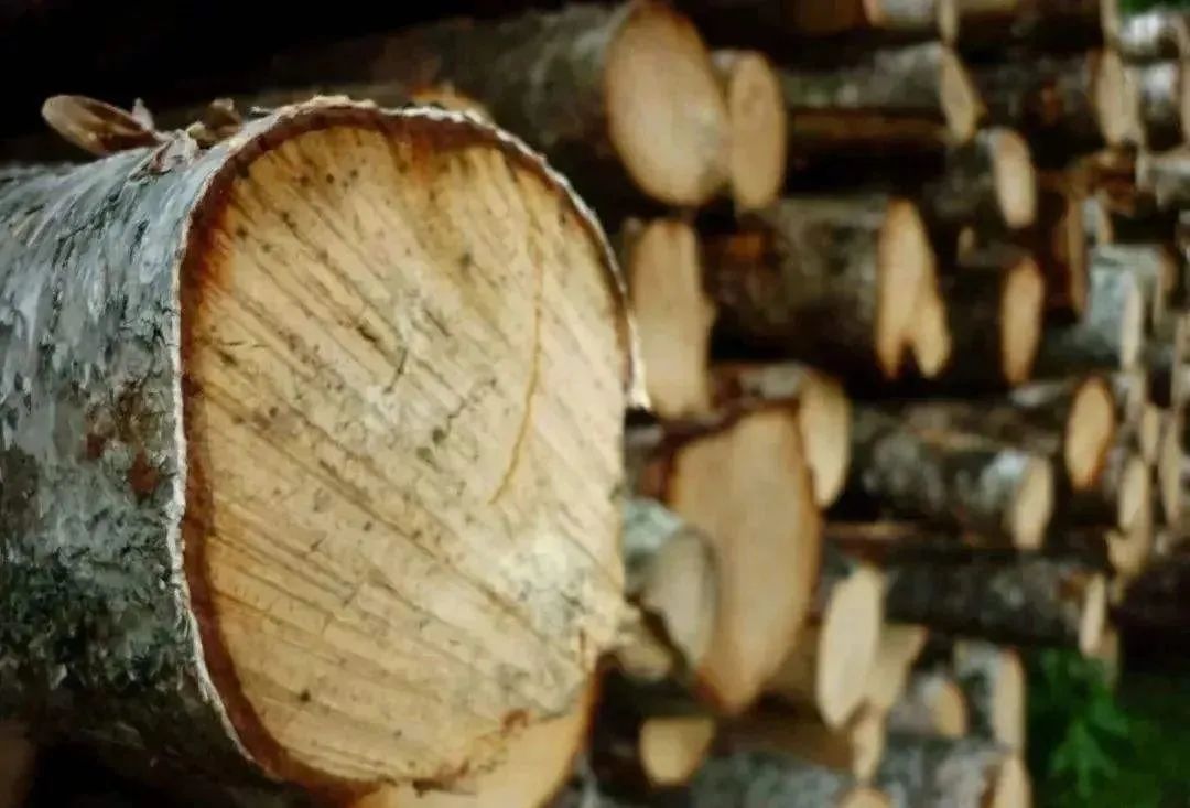 1111111111.jpg 1111111111.jpg