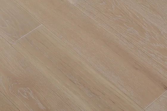 好運(yùn)b.jpg 好運(yùn)b.jpg