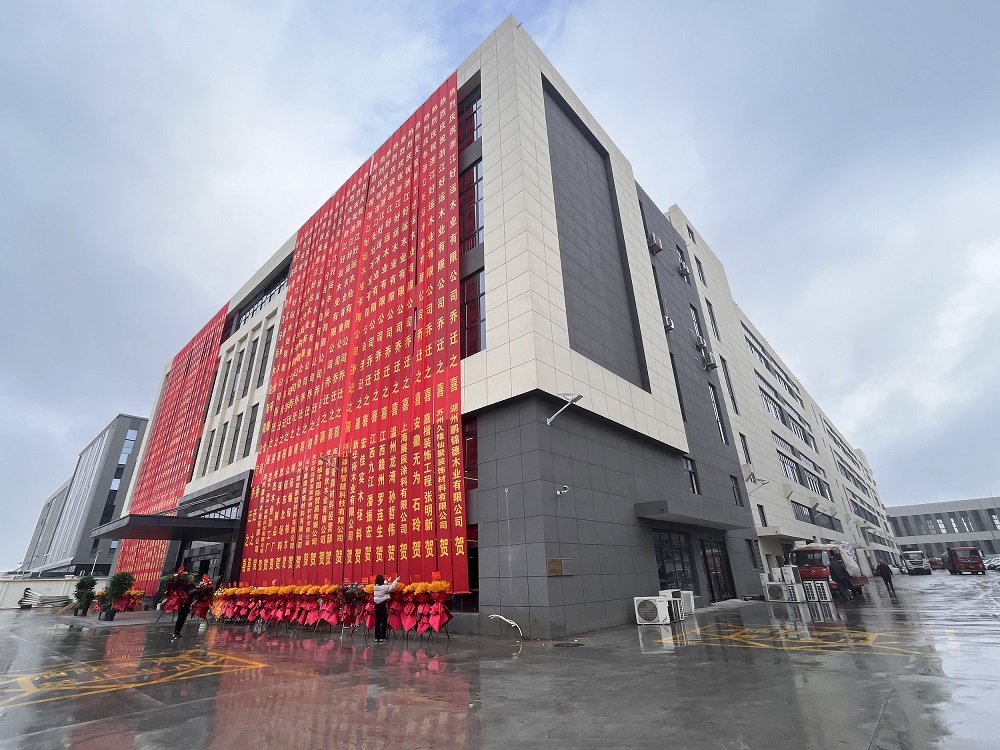 33333333.jpg 33333333.jpg